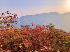 -周口店坡峰岭风景区