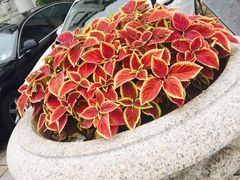 -老味道民宿(栈桥店)