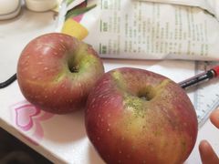 -京食源烧鸽子