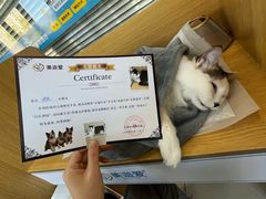 -美迦爱-牙专科·兔科·骨科诊疗中心(北苑店)