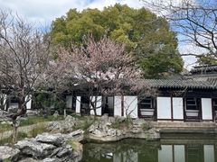 -常熟方塔园