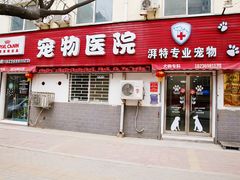 -pd派德宠物中心医院24H急重症·眼科中心·血液透析中心(嵩山北路店)