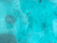-班拉雅潜水度假村