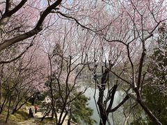 -团结湖公园