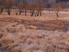 -丽江泸沽湖景区