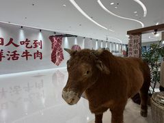 -沈阳铁西万象汇