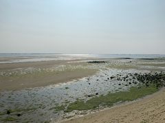 -北海金海湾红树林生态旅游区