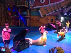 -烟台海昌鲸鲨海洋公园