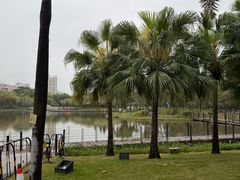 -映月湖公园