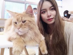 -Heymao猫咖.咖啡厅(东门店)