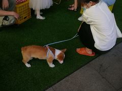 -金茂览秀城