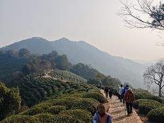 -十里琅珰