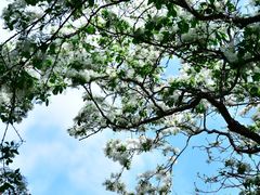 -国家植物园南园