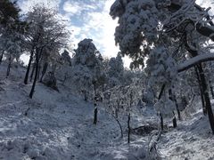 -四明山国家森林公园