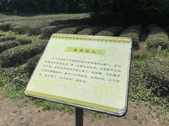 -旅马餐厅(茅家埠店)