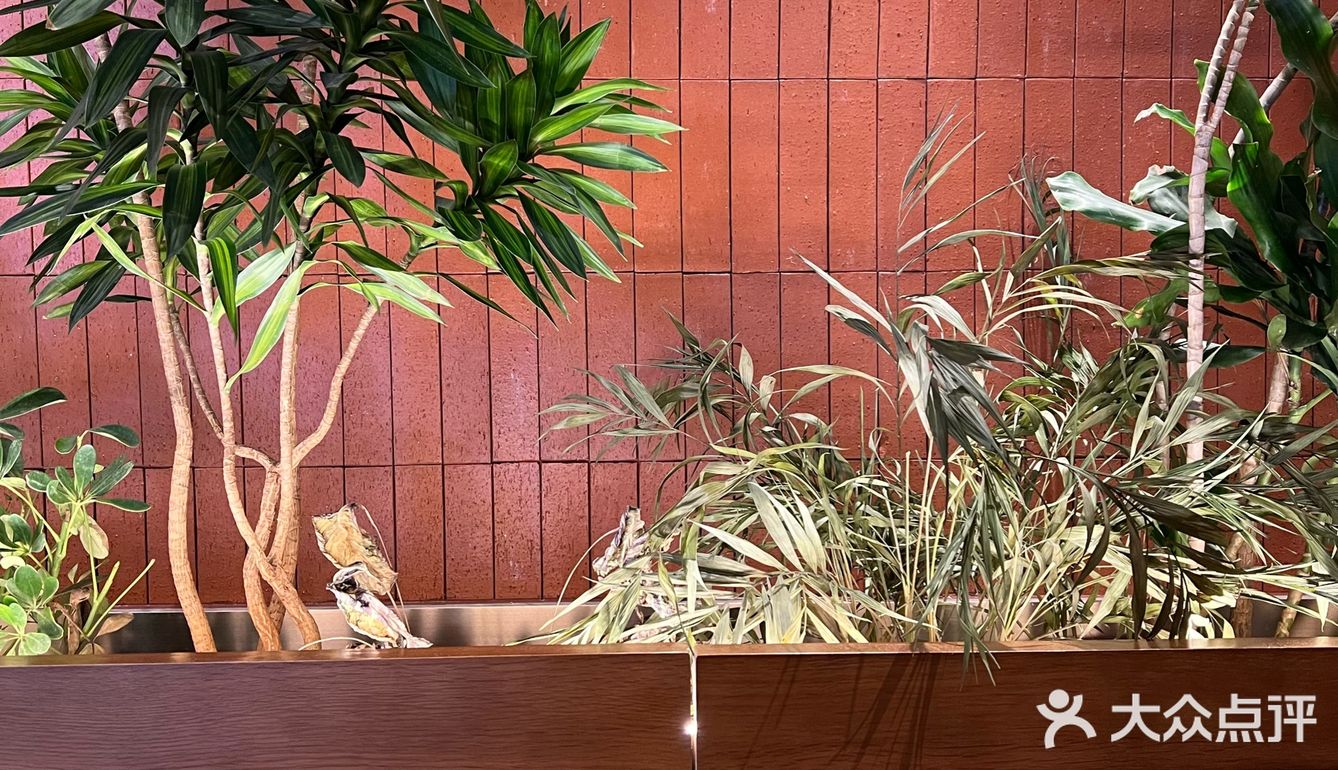 奈雪x小王子🌹情人节限定“香水”,送最爱的玫瑰	