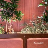 奈雪x小王子🌹情人节限定“香水”,送最爱的玫瑰	