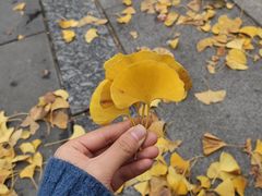 -两江幸福广场