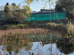 -元鼎宝驴香·全驴宴(江宁店)