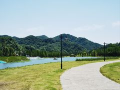 -千年银杏谷文化旅游区