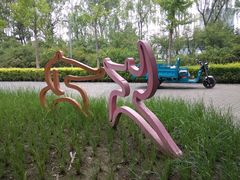 -大兴滨河森林公园