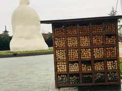 -太阳岛度假酒店