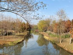 -溱湖国家湿地公园