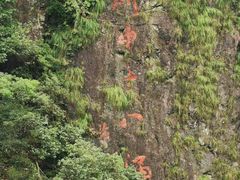 -磐安十八涡风景区