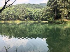 -缙云山景区