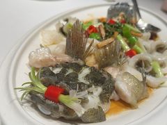 -顺德渔村·岭南一号