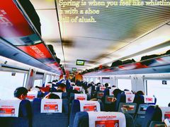 -镇南锅盖面馆(解放路店)