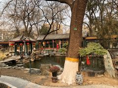 -白家大院·王府宫廷菜(苏州街店)