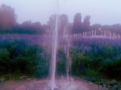 -北京东方普罗旺斯薰衣草庄园