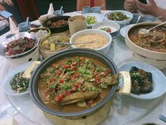 -洞庭家宴·头牌甲鱼(广渠门店)
