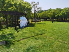 -上海海湾国家森林公园