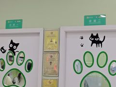 -瑞鹏宠物医院·夜间急症·心超·猫科(祖庙分店)