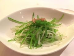 -西郊5号·Maggie 5