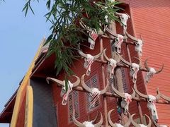 -呀路古热带植物园