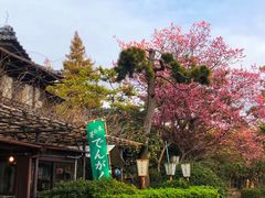 -名古屋城