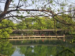 -东湖落雁景区