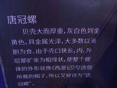 -贝壳梦幻世界