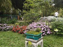 -晓港公园