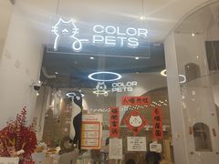 -COLOR PETS 撸猫馆·购猫·猫咖(长风大悦城店)