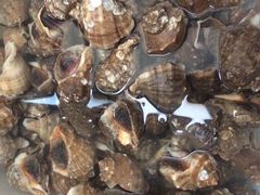 -四海鲜渔家菜(黄金海岸店)