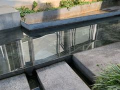 -大理老字号·舟渔的鱼野生菌海景餐厅(双廊店)