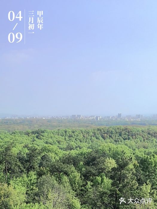 紫金山山顶公园图片