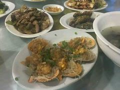 -西涌国际滨海旅游区