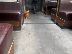 -肥仔文澳门猪骨煲(南京西路店)