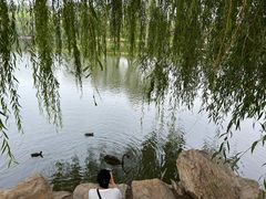 -华夏良子·足道SPA艾灸(王府井店)