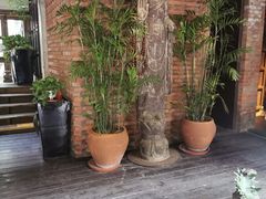 -Local泰莲庭(虹鳟鱼店)